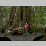 David at Big Tree Dip Falls.jpg